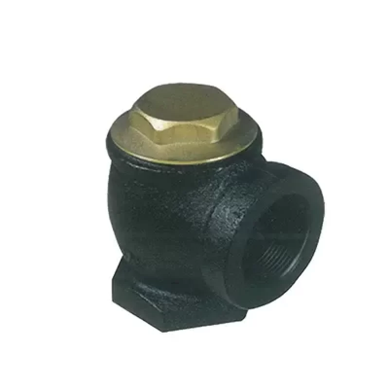 Angle Check Valve